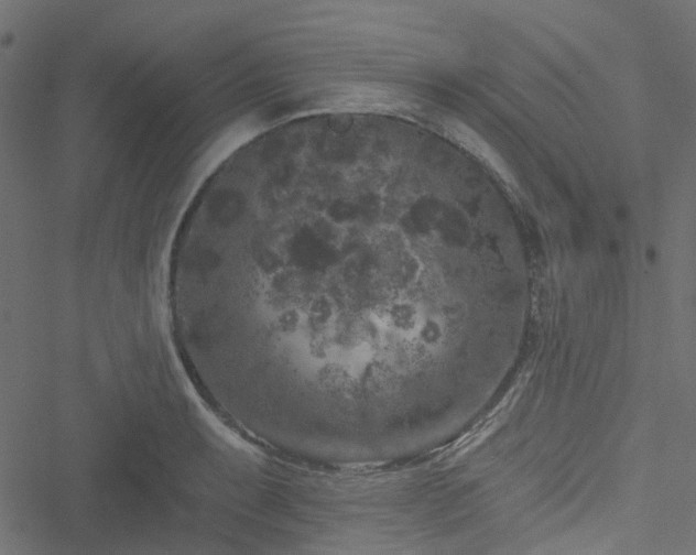 X0000051891087200506241343