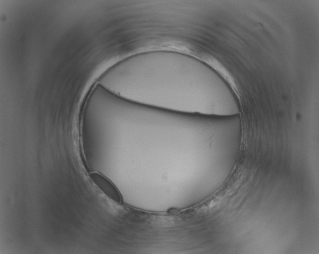 X0000051891088200506241343