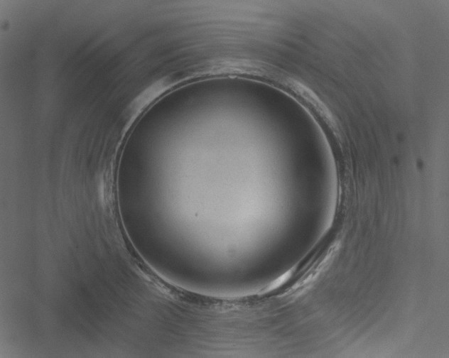 X0000051891089200506241343