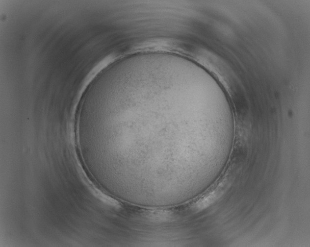 X0000051891090200506241343