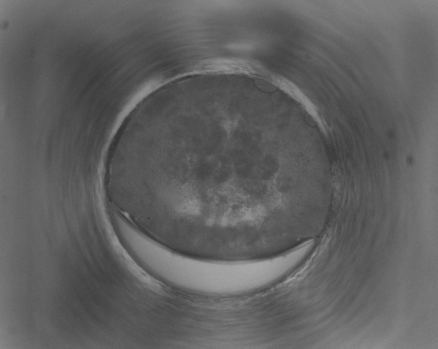 X0000051891091200506241343