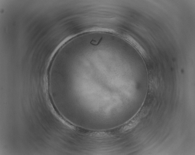 X0000051891092200506241343