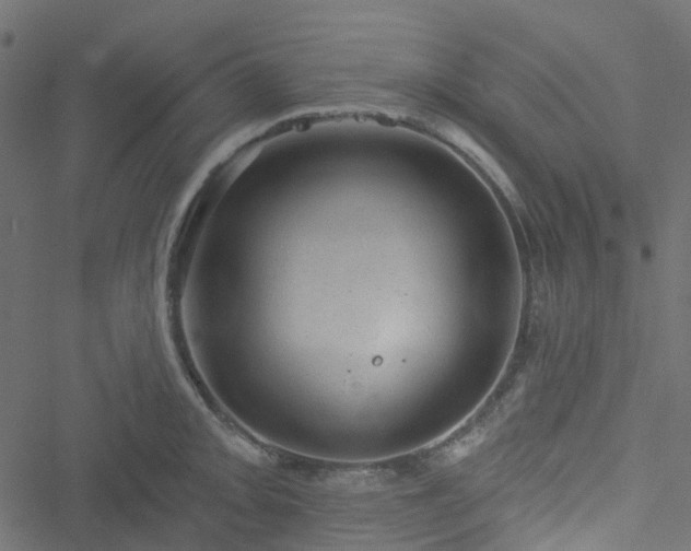 X0000051891093200506241343