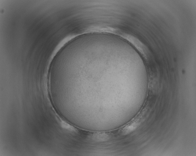 X0000051891094200506241343