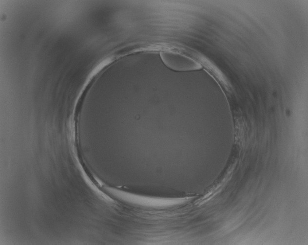 X0000051891095200506241343