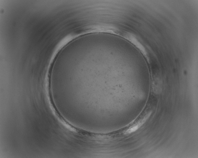 X0000051891096200506241343