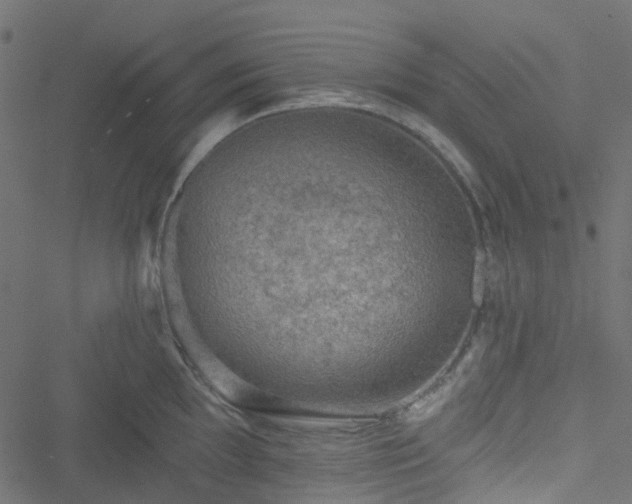 X0000051891097200506241343