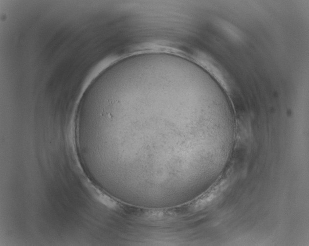 X0000051891098200506241343