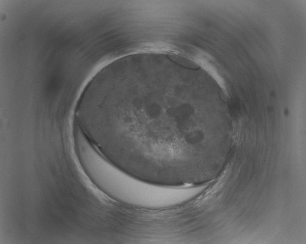 X0000051891099200506241343