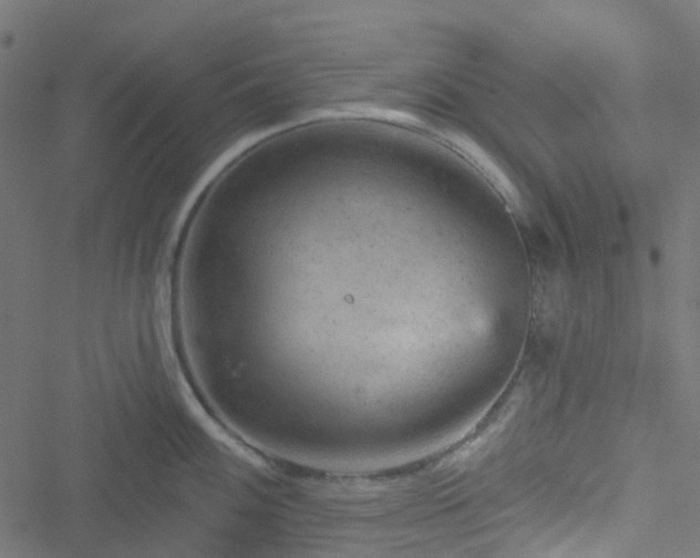 X0000051891100200506241343