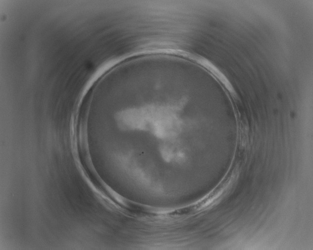 X0000051891101200506241343