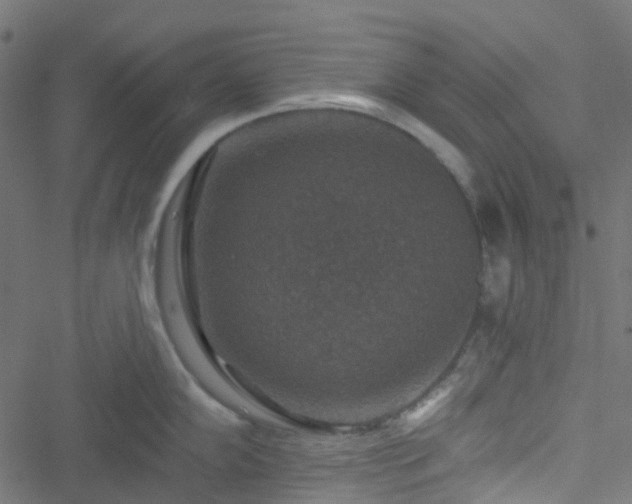 X0000051891102200506241343