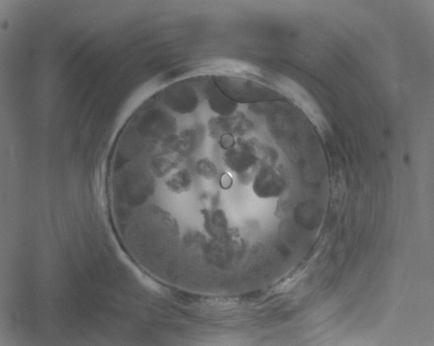 X0000051891103200506241343