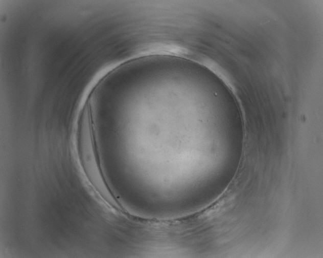 X0000051891104200506241343