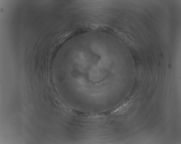 X0000051891105200506241342