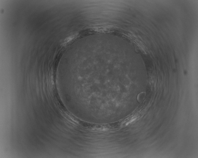 X0000051891106200506241342