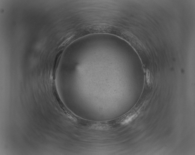 X0000051891107200506241342