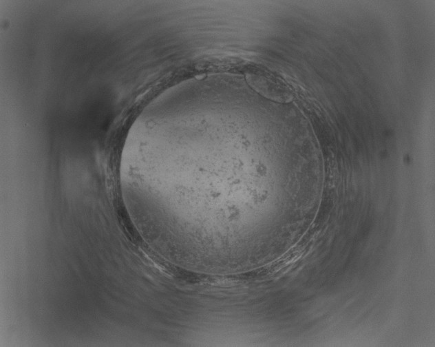 X0000051891109200506241342