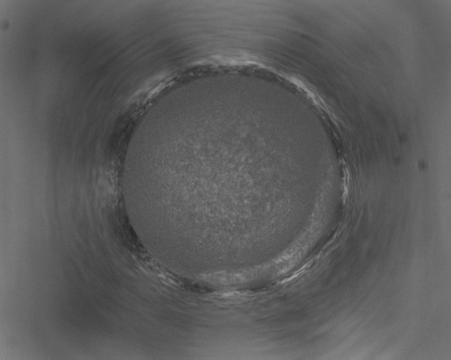 X0000051891110200506241342