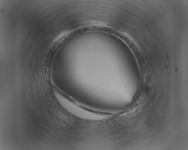 X0000051891112200506241342