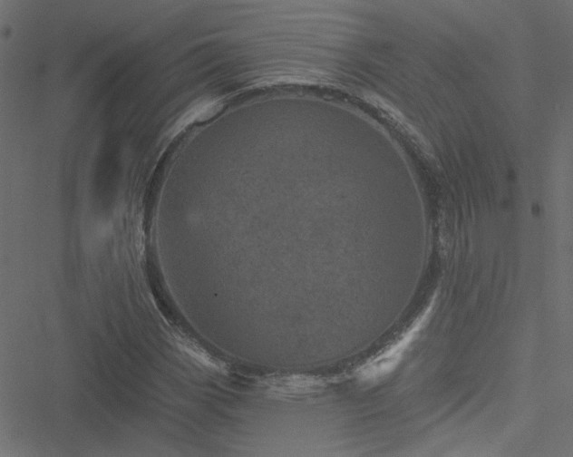 X0000051891113200506241342