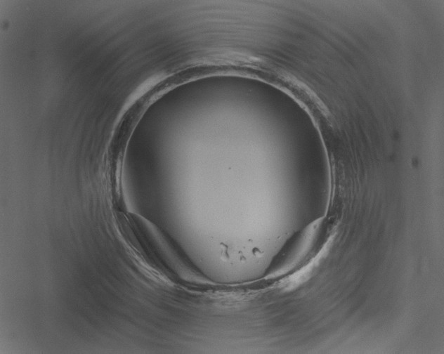 X0000051891114200506241342