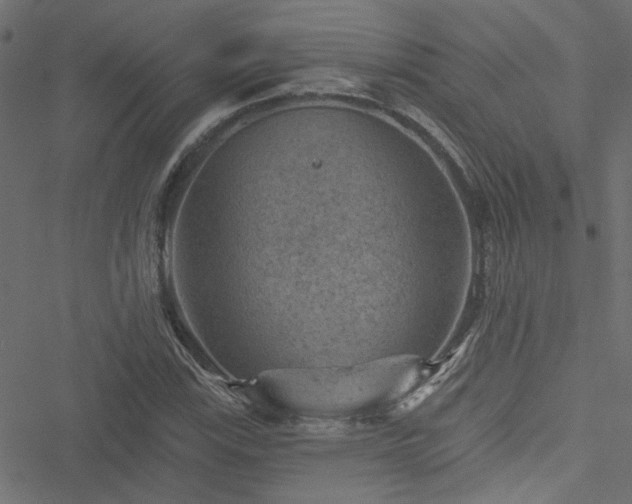 X0000051891115200506241342