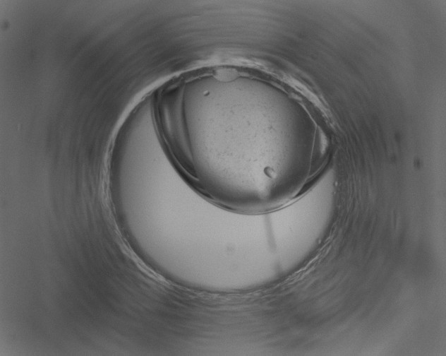 X0000051891116200506241342