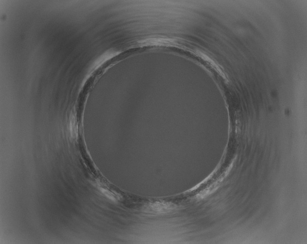 X0000051891117200506241342