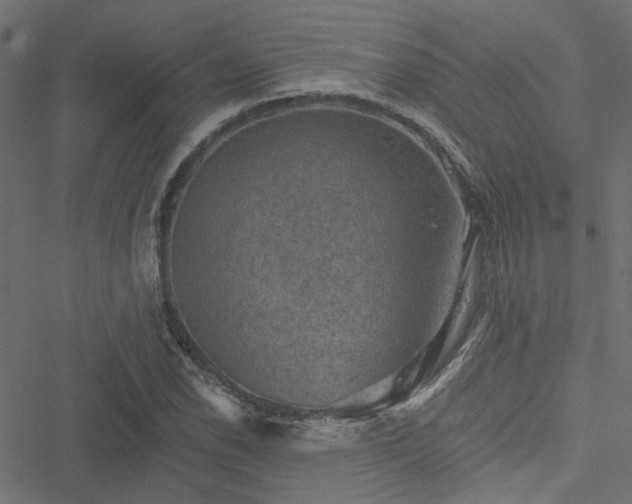 X0000051891118200506241342