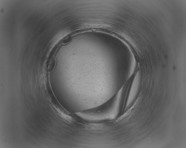 X0000051891119200506241342