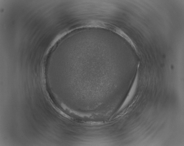 X0000051891120200506241342