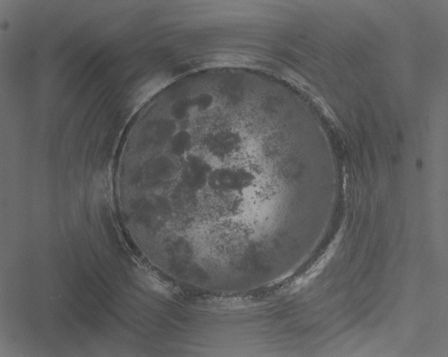 X0000051891121200506241342