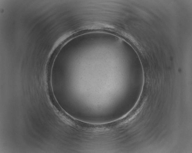 X0000051891122200506241342