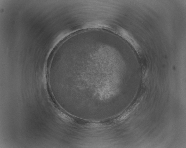 X0000051891124200506241342