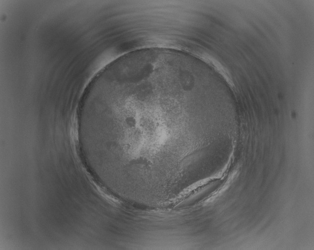 X0000051891125200506241342