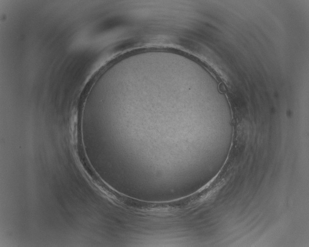 X0000051891126200506241342