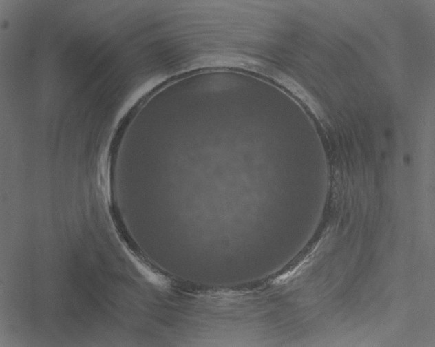 X0000051891127200506241342