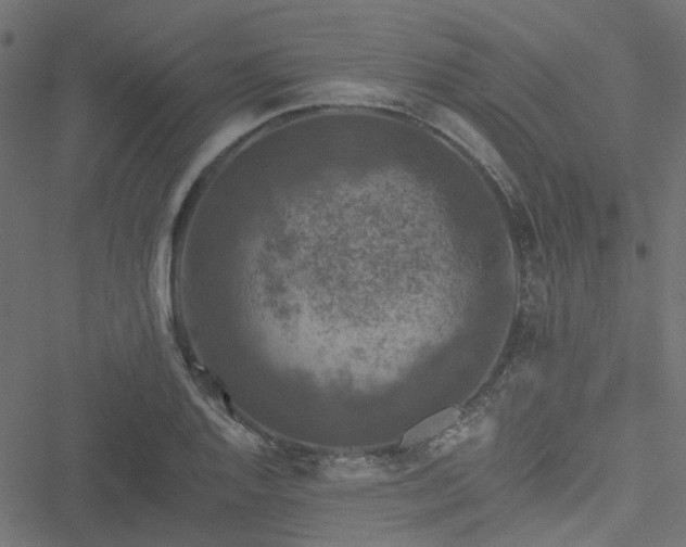 X0000051891128200506241342