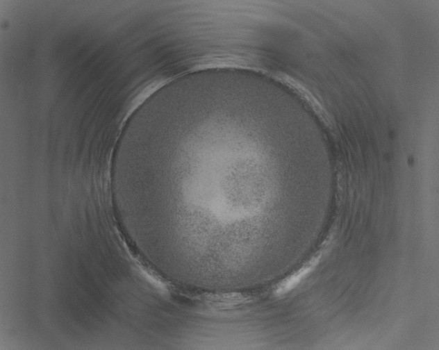 X0000051891129200506241342