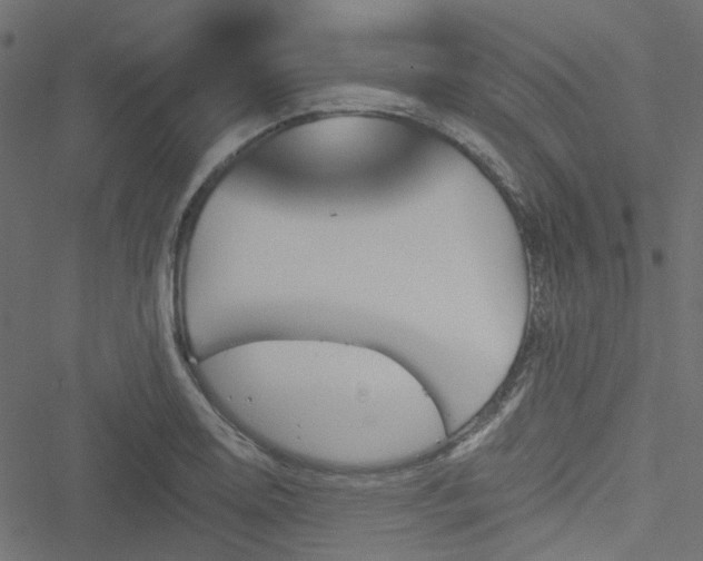 X0000051891130200506241342