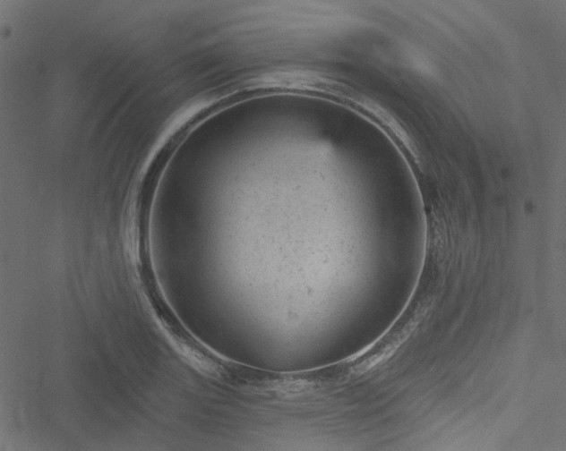 X0000051891131200506241342