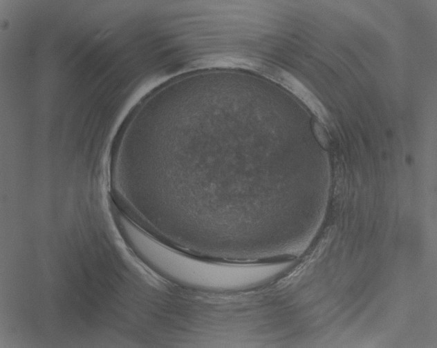 X0000051891132200506241342