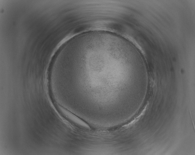 X0000051891133200506241342