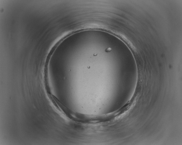 X0000051891134200506241342