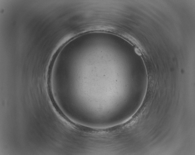 X0000051891135200506241342