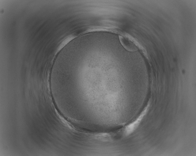 X0000051891137200506241342