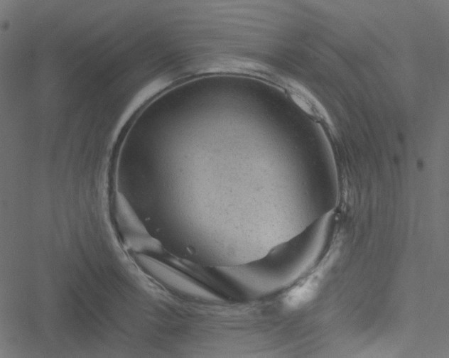 X0000051891138200506241342