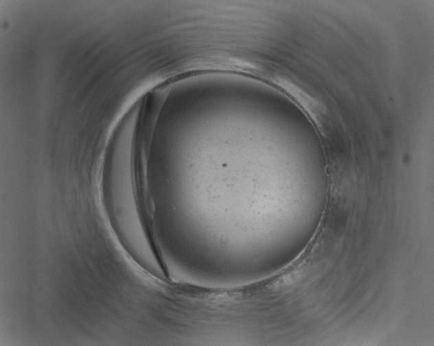 X0000051891139200506241342