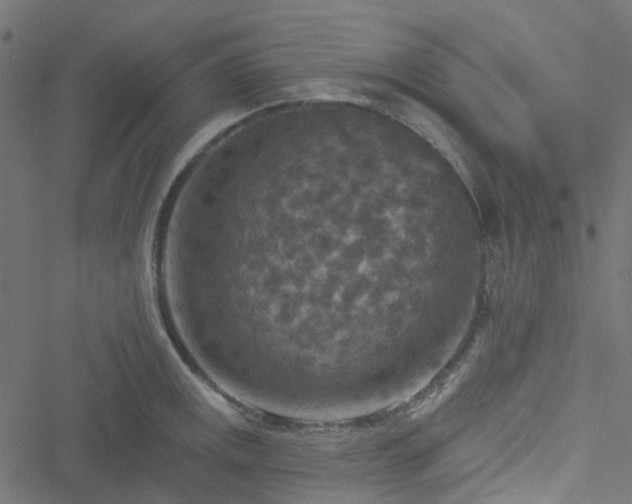 X0000051891141200506241342